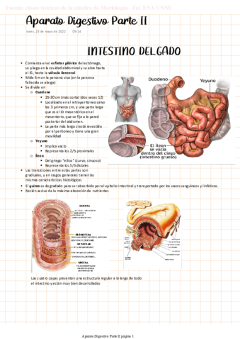 MORFO-Aparato-digestivo-Parte-II.pdf