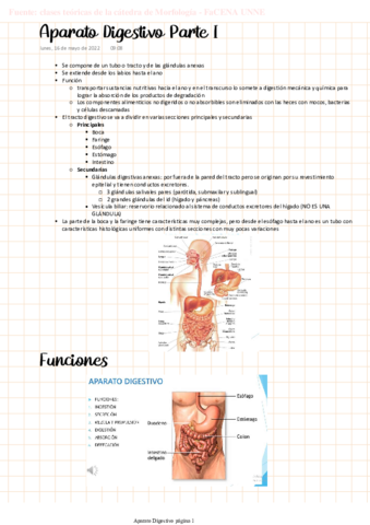 MORFO-Aparato-digestivo-Parte-I.pdf