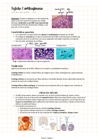 MORFO-Tejido-Cartilaginoso.pdf