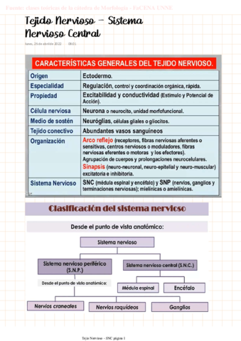 MORFO-Tejido-Nervioso.pdf