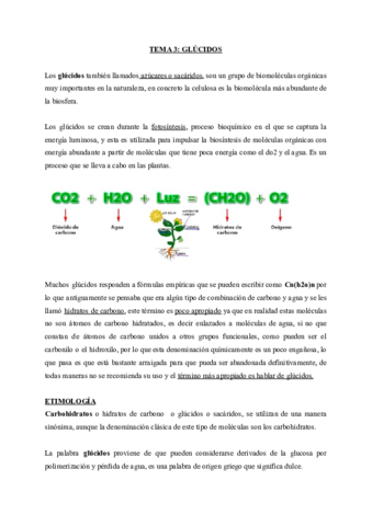 TEMA-3-GLUCIDOS.pdf