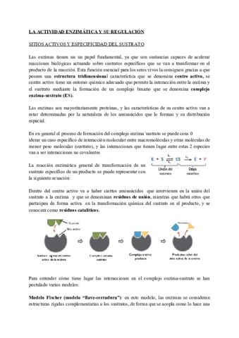 TEMA-8-ENZIMAS-2.pdf