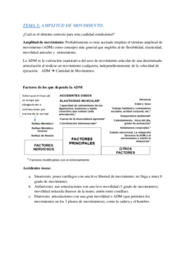 TEMA 5 fútbol.pdf
