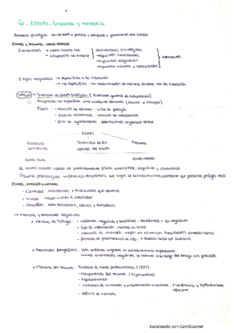 Psicologia-de-la-Memoria-T6.pdf