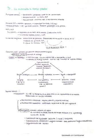 Psicologia-de-la-Memoria-T3.pdf