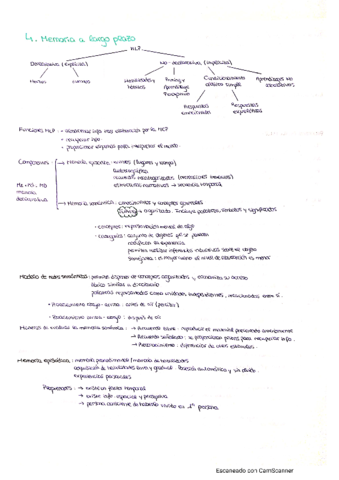 Psicologia-de-la-Memoria-T4.pdf