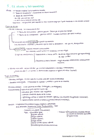 Psicologia-de-la-Memoria-T5.pdf