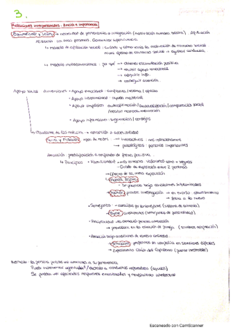 Psicologia-Social-T3.pdf