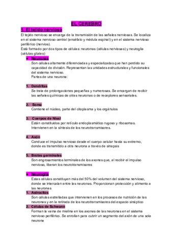 Sistema nervioso y desarrollo embrionario.pdf