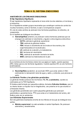 TEMA-6-EL-SISTEMA-ENDOCRINO.pdf