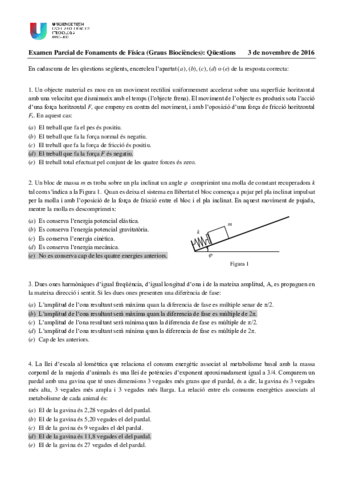 Documento-de-Anita.pdf