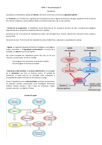 Tema-7.pdf