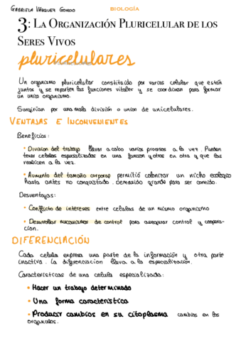 3-La-Organizacion-Pluricelular-de-los-Seres-Vivos.pdf
