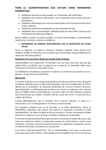 TEMA-11.pdf