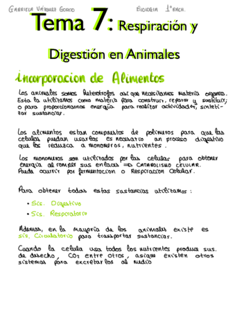 7-Respiracion-y-Digestion-en-Animales.pdf