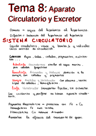 8-Aparato-Circulatorio-Y-Excretor.pdf