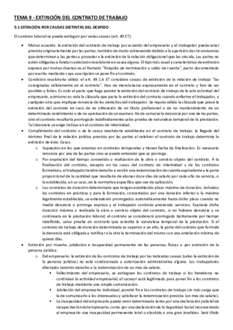 Tema-9-Laboral-I.pdf