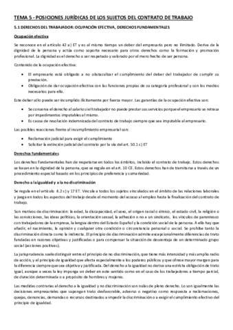 Tema-5-Laboral-I.pdf