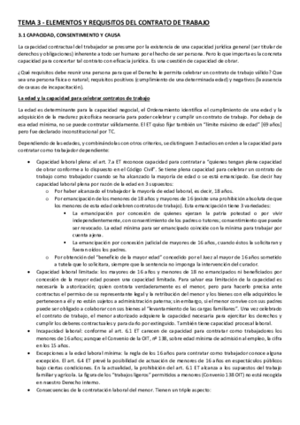 Tema-3-Laboral-I.pdf