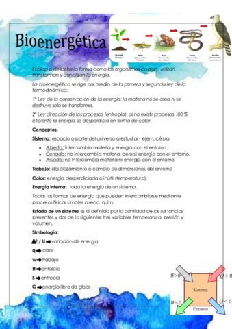 Bioenergetica-parte-1.pdf