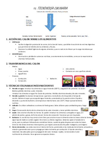 10-Tecnologia-culinaria.pdf