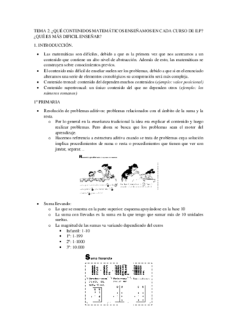 TEMA-2.pdf