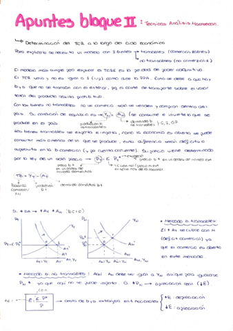 Apuntes-bloque-II.pdf