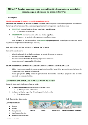 TEMA 17. SEMPs.