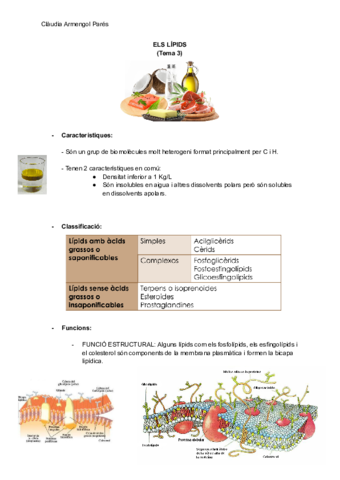 LIPIDS.pdf