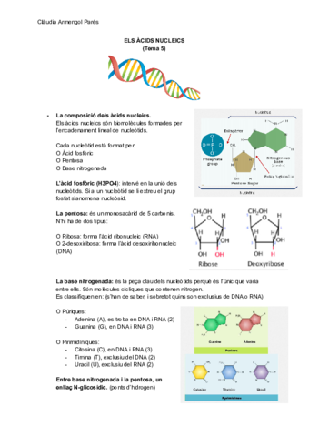 Els-acid-nucleics.pdf