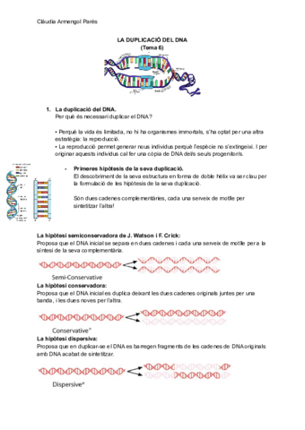 La-duplicacio-del-DNA.pdf
