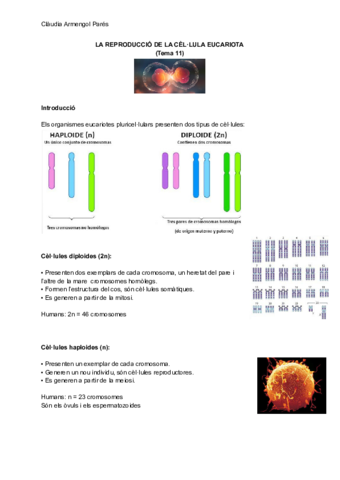 La-reproduccio-de-la-cellula-eucariota.pdf