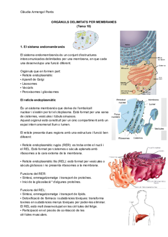 ORGANULS-DELIMITATS-PER-MEMBRANES.pdf