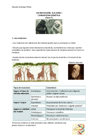 LES-MUTACIONS-ELS-GENS-I-L-ENGINYERIA-GENETICA.pdf