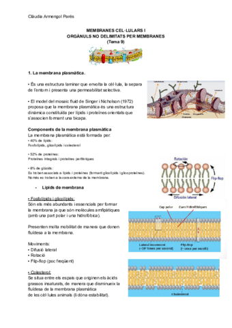 MEMBRANES-CELLULARS-I-ORGANULS-NO-DELIMITATS-PER-MEMBRANES.pdf