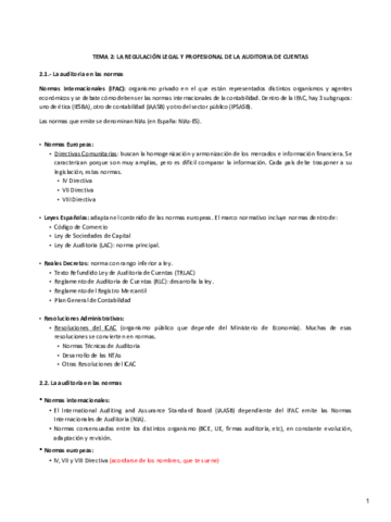 word-auditoria-tema-2.pdf