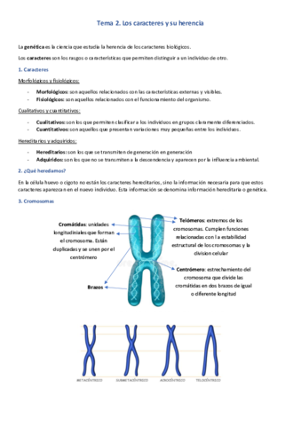 Tema-2-biologia.pdf