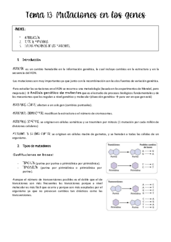 tema-13-genetica.pdf