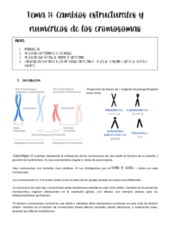 Tema-14-genetica.pdf