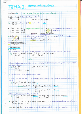 TEMA-2-determinantes.pdf