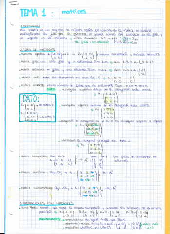 TEMA-1-matrices.pdf