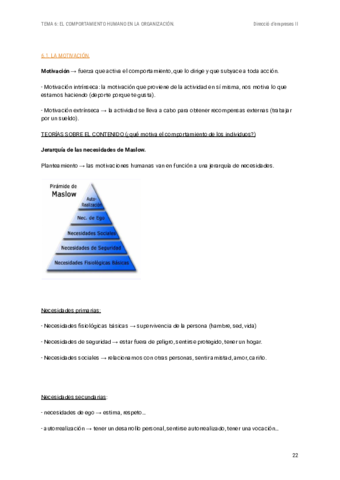t6-direccio-d-empreses.pdf
