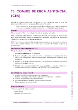 T3. Comites de Etica Profesional.pdf