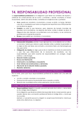 T4. Responsabilidad Profesional.pdf