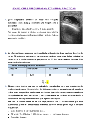 SOLUCIONES-PREGUNTAS-de-EXAMEN-de-PRACTICAS.pdf