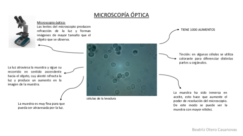 MICROSCOPIA-OPTICA.pdf