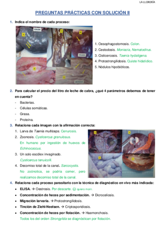 PREGUNTAS-PRACTICAS-CON-SOLUCION-II.pdf