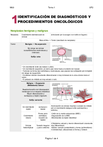 UF2-M03-Tema-1.pdf