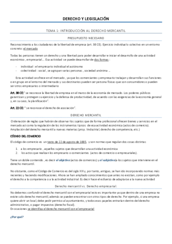 Derecho-apuntes-.pdf