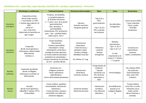Tabla-Bacterias.pdf